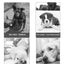Pet Beds for Dogs Home Dog Bed Large Dog Kennel Accessories Washable Big Bedd Supplies Plush Mat Accessoires Underpad Bedding