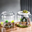 Large Turtle Tank Transparent Turtle Aquarium Turtle Tank With Lid Turtle Terrarium Tortoise Enclosure With Removable Cover
