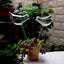 2pc Plant Waterer Self Watering Sphere, Bird shaped Hand Blowed  Plastic Transparent Water Beads