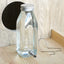 Silent Fine Needle Stainless Steel Striking Needle Water Bottle, Dragon Cat Beige Long Hair  Feed Water, Drinking Bottle
