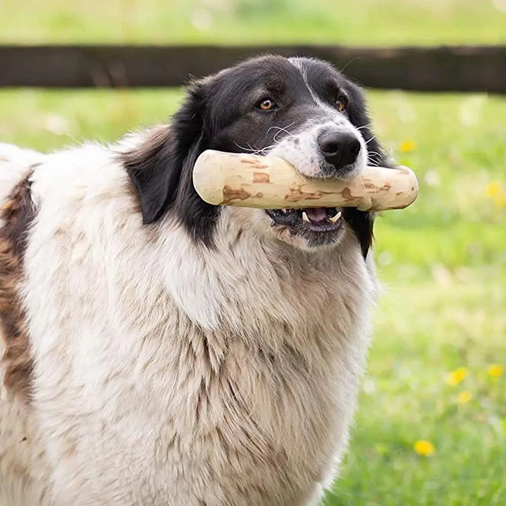 Dog Teeth Grinding Natural Coffee Wood Chewable Stick Teeth Cleaning Wooden Chewing Toy Calming Teething Toys Pet Supplies