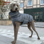 Italian Greyhound Hound Whippet Clothes Winter Turtleneck Dog Coat Thicken Padded Down Puffer Jacket for Medium Large Dogs
