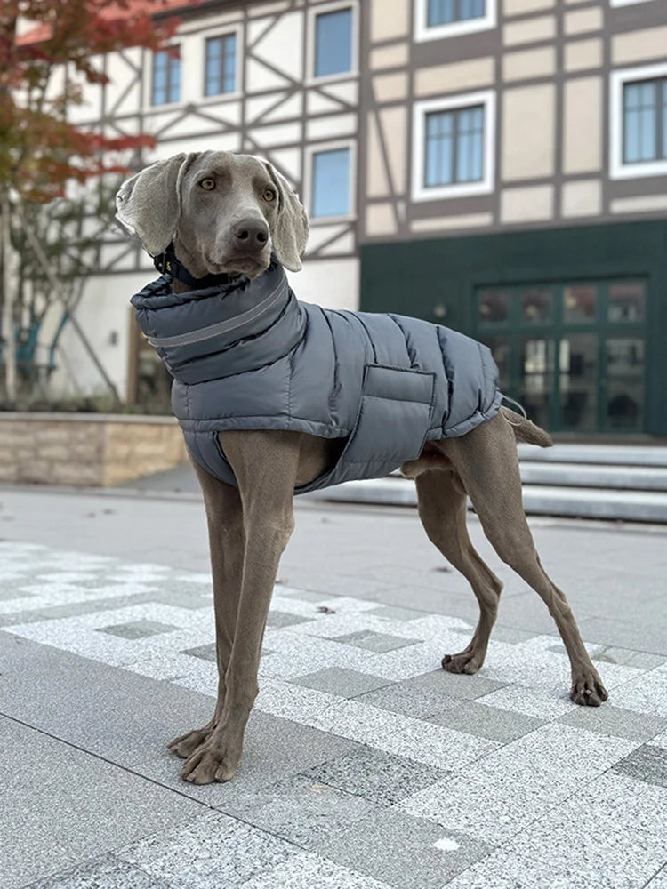 Italian Greyhound Hound Whippet Clothes Winter Turtleneck Dog Coat Thicken Padded Down Puffer Jacket for Medium Large Dogs