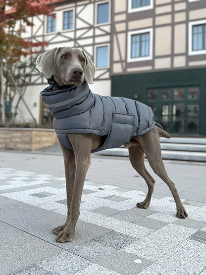 Italian Greyhound Hound Whippet Clothes Winter Turtleneck Dog Coat Thicken Padded Down Puffer Jacket for Medium Large Dogs