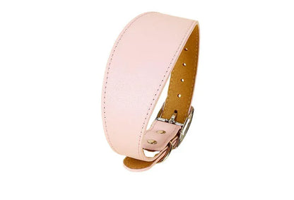 Wide Leather Dog Collar for Small Medium Large Dogs Greyhound Deerhound Lurcher Whippet Dachshund Pet Accessories