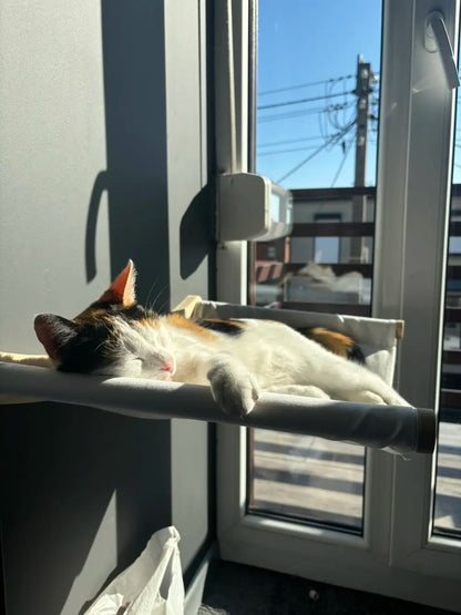 Wall Mounted Cat Perch Corner Platform With Felt Easy-to-Clean Cat Hammock Suit Cat Climbing Rope to Make Kitten Exercise Indoor