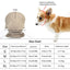 Dog Hat with Ear Holes Pet Dog Sport Cat Fashionable Travel Hat Breathable Pet Outdoor Sunbonnet UV Protection for Outdoor All
