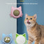 Cat Ear Peppermint Rotating Ball Cat Happy Interactive Cat Toy Worms Gall Fruit Wood Polygonum Toy Ball