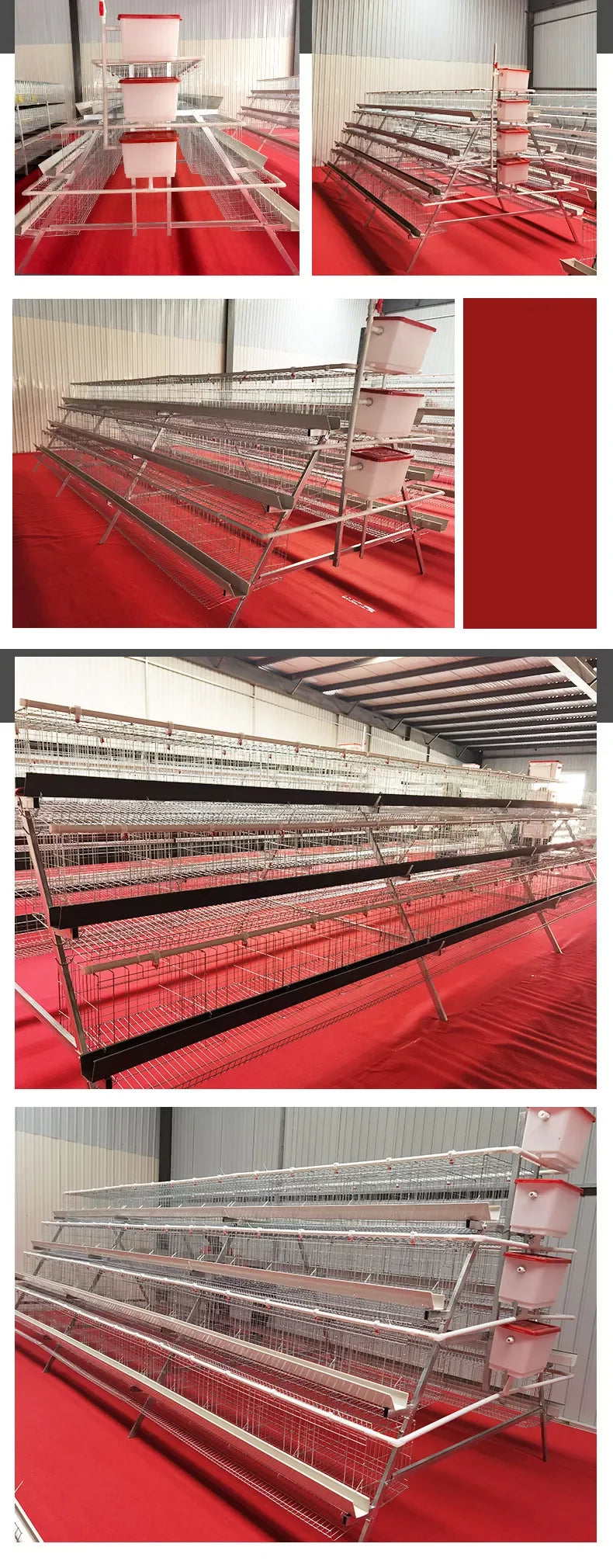 Factory price high quality Hens Chicken Layer Cage Poultry farm equipment