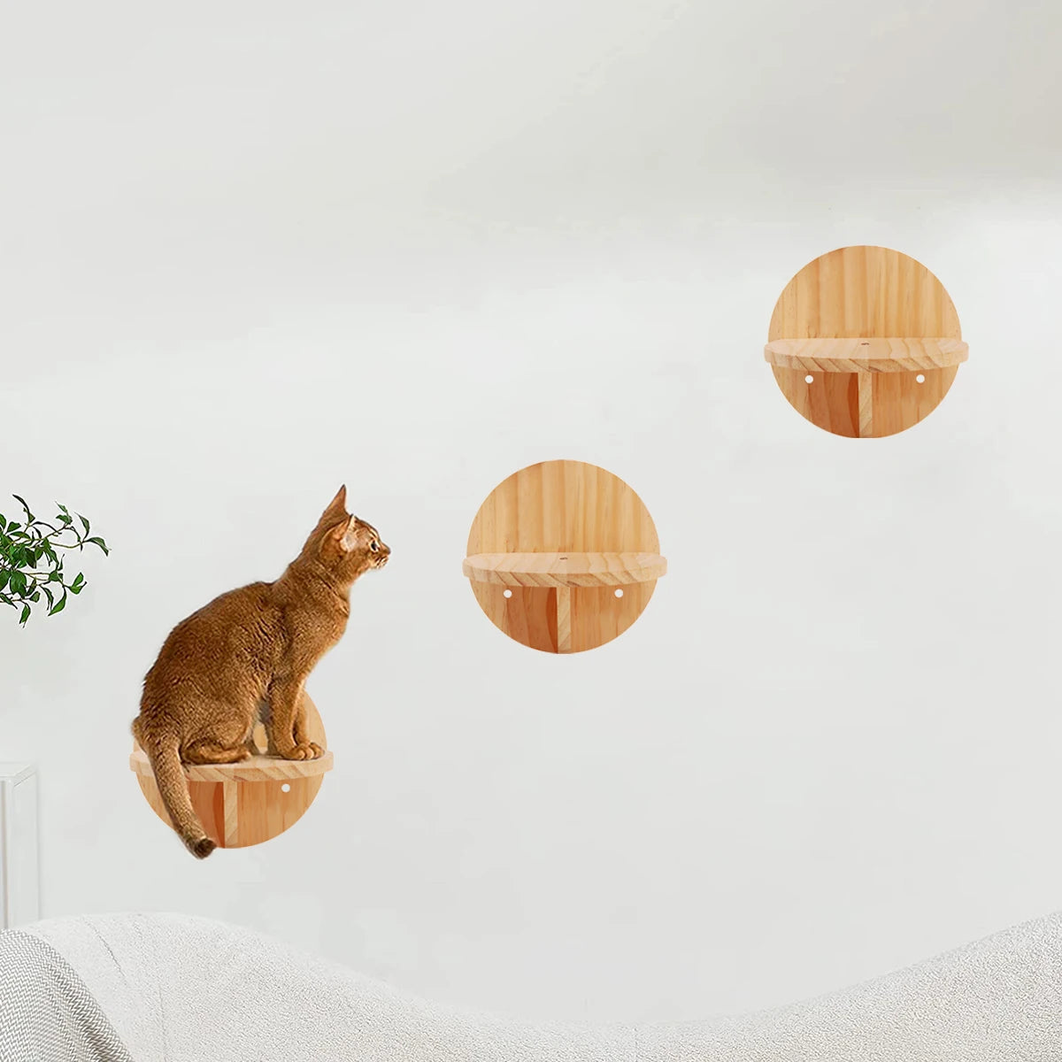 Cat Bed Wall Mounted Hammock For Large Cats or Kitty Climbing Shelves Wooden And Sisal Rope Hammock And Perches Jumping Platform
