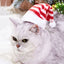 Pet Cat Dog Christmas Hat Cap Puppy Dog Accessories for Small Dogs Dog Costume Dog Hats for Cats Dog Costumes Pet Supplies