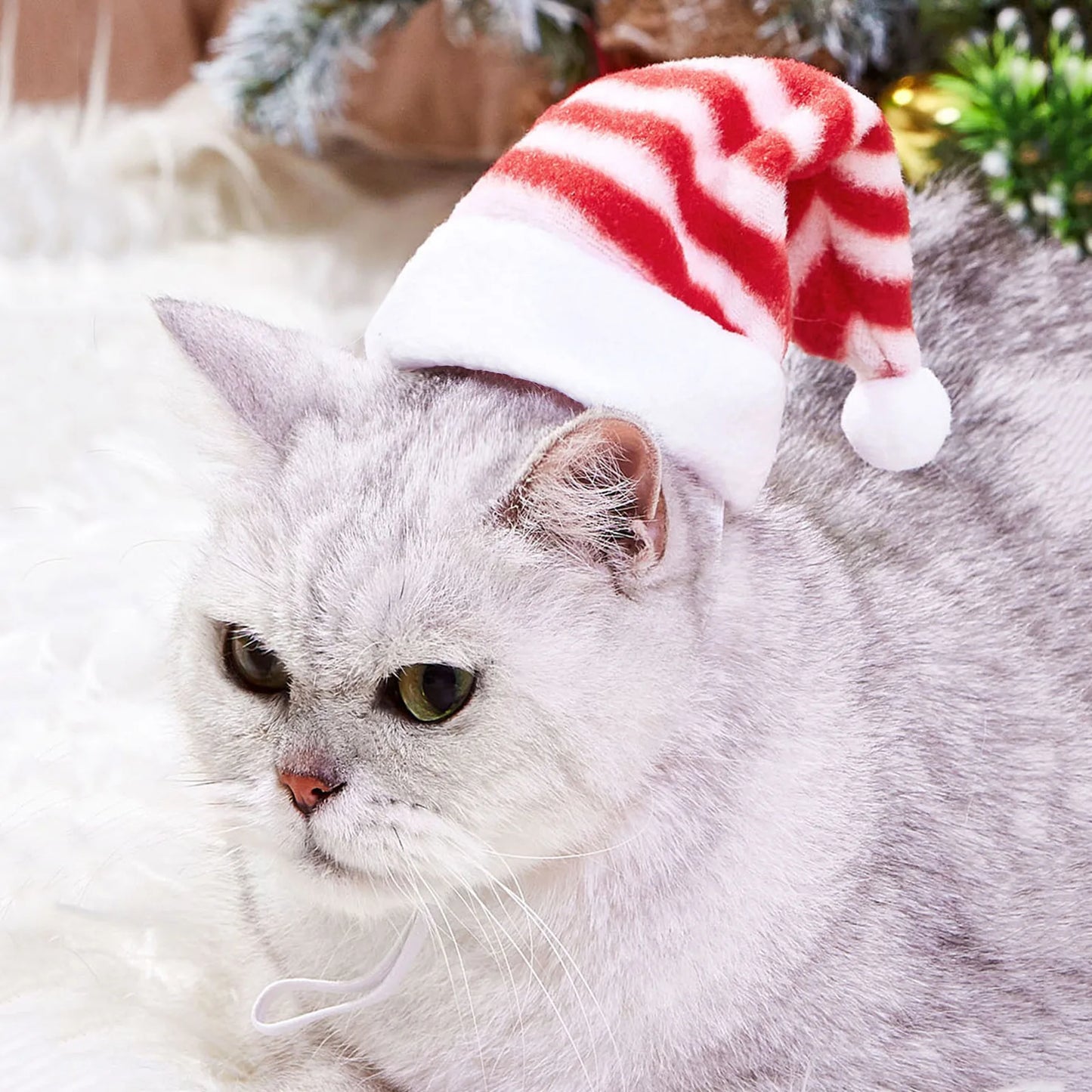 Pet Cat Dog Christmas Hat Cap Puppy Dog Accessories for Small Dogs Dog Costume Dog Hats for Cats Dog Costumes Pet Supplies