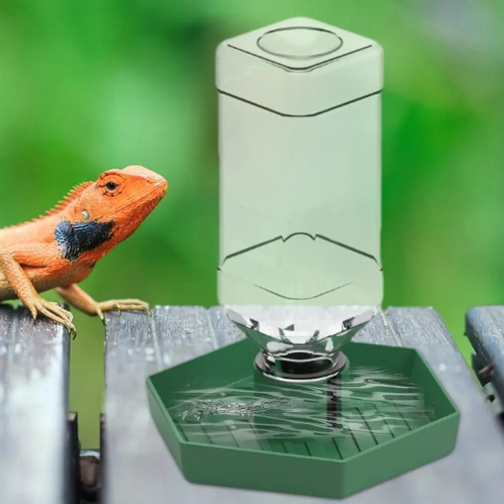 Automatic Reptile Water Dish Feeder Automatic Reptile Water Dish With Bottle Tortoise Turtle Water Dispenser For Bearded Dragons