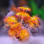 Artificial Underwater Coral Plastic Aquarium Fish Tank Simulation Decoration Aquarium Backgrounds Plants Water Grass Beautiful
