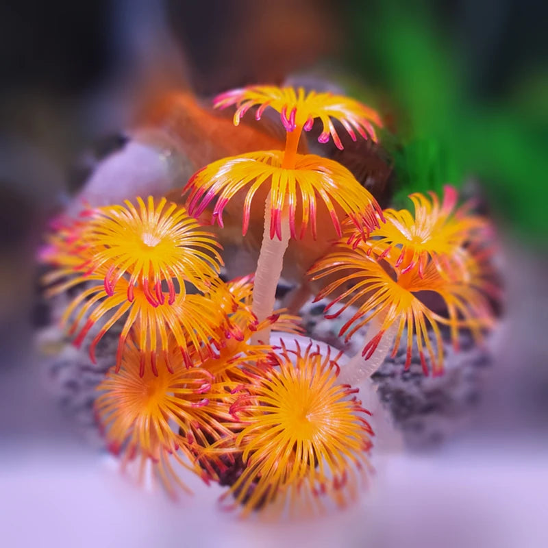 Artificial Underwater Coral Plastic Aquarium Fish Tank Simulation Decoration Aquarium Backgrounds Plants Water Grass Beautiful