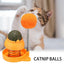 Catnip Ball for Cats Wall Rotatable Cat Licking Balls Edible and Healthy with Spring Ball Cat Licking Balls for Cats Catnip