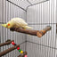 Natural Wood Pet Parrot Raw Wood Fork Tree Branch Stand Rack Squirrel Bird Hamster Branch Perches Chew Bite Toys Stick