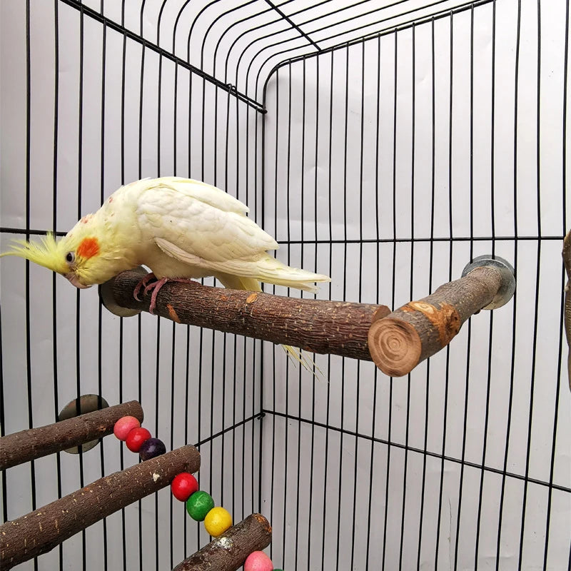 Natural Wood Pet Parrot Raw Wood Fork Tree Branch Stand Rack Squirrel Bird Hamster Branch Perches Chew Bite Toys Stick