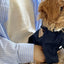 Fashion Dog Cowboy Costume Autumn Winter Dog Denim Jacket Bear Print Cardigan Pet Coat Kitten Puppy Clothing Chihuahua Pullover