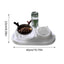 Gravity Cat Feeder And Water Dispenser Set 15Tilted Pets Water And Food Bowl Set Curved Bowl Mouth Raised Cat Bowls Pet Food