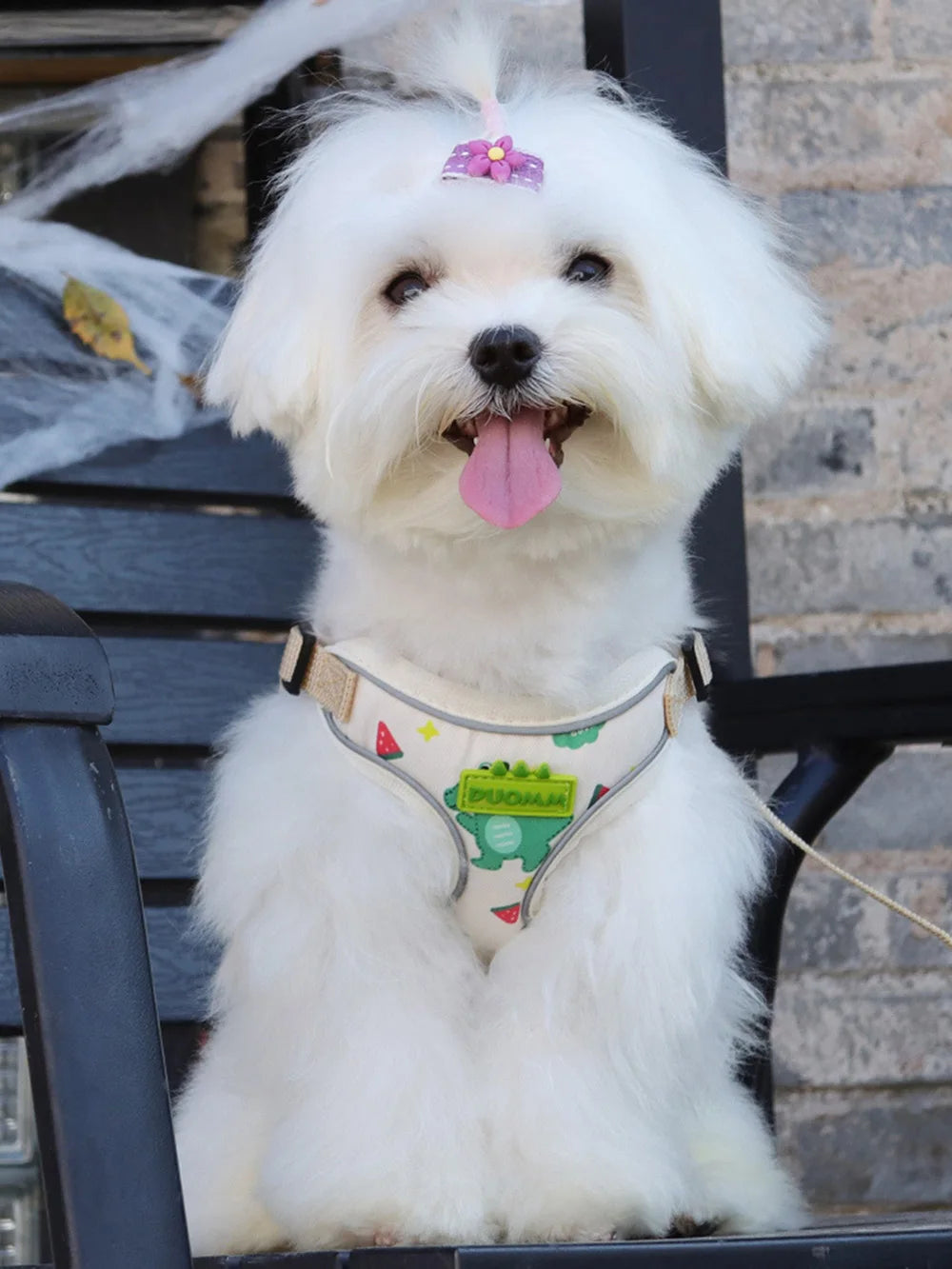 Outdoor Puppy Dog Walking Harness and Leash Set for Small Dogs Reflective Pet Harnesses Chihuahua Poodle Bichon Cat Accessories