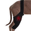 Dog Knee Brace Large Dog Rear Leg Support Breathable Back Leg Support With Metal Strip High Elasticity Leg Protector Senior Dogs