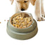 Cat Bowl Non-Slip Pet Stainless Steel Food Bowls Ergonomic Design Cat Dog Food Bowl with 15 Degree Oblique Mouth Puppy Feeding