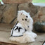Autumn Winter Dog Clothes Luxury Dog Coat Black White Bow Pet Dog Jacket Girls Dog Costume Chihuahua Yorkie Clothing Cat Vest