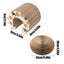 Cat Scratching Pad Organ Magnetic Foldable Scratchers Multipurpose Scratch Pad Kitten Scratching Board With Ball For Kitten Paly