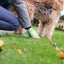 Eco Friendly Dog Waste Bags Earth Friendly Pet Waste Bags for All Dogs Leak Proof and Strong Dog Poop Bags Waste Bags for Poop