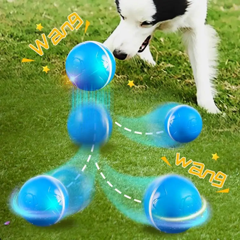 Automatic Rolling Ball Toys Safe Dog Toy Balls Bite Resistant Dog Toys Puppy Toys Fun Interactive Play for Pet Dog Puppy
