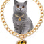 Luxury Dog Cat Necklace Jewelry with Heart Diamond Pendant Design Gold Chain Collar Pet Wedding Birthday Costume Accessories