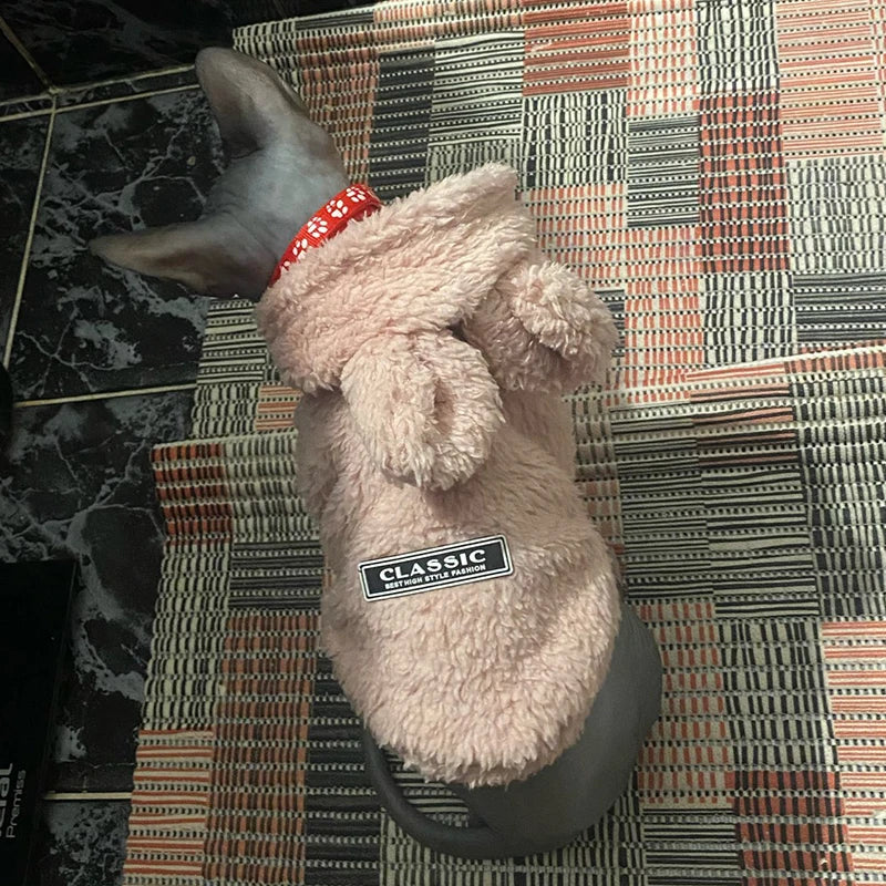 Clothes For Cat Sphinx Jacket Cat Clothes Egyptian Kitten Clothing Dog Hoodie Yorkshire Sweater Puppy Pet Chihuahua Hairless Xs