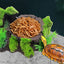 Resin Aquarium Pet Reptile Feeder Bowl Basin Food Water Pot Reptile Turtle Tortoise Scorpion Lizard Crabs Supplies Large Size