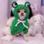 Funny Pet Clothes Cute Green Little Frog Dog And Cat Small Dog Autumn And Winter Sweatshirt Plush Outdoor Fashion Cotton Jacket
