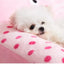 Dog Bed Large Dog Sofa Big Pet Beds Dogs Baskets Supplies Mat Small Breeds Fluffy Medium Cushion Kennel Puppy Accessories