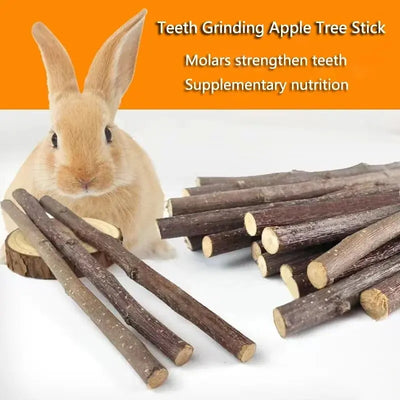 100/200/300/500g Hamster Rabbit Teeth Grinding Apple Tree Stick Minerals Molar Stone Toys for Chinchilla Hamster Pet accessories