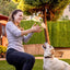 Pine Cone Dog Toy Squeaky Rope Dog Toy With Teething Strips Durable Soft Pet Toys For Puppy And Dog Energy Consuming Playtime