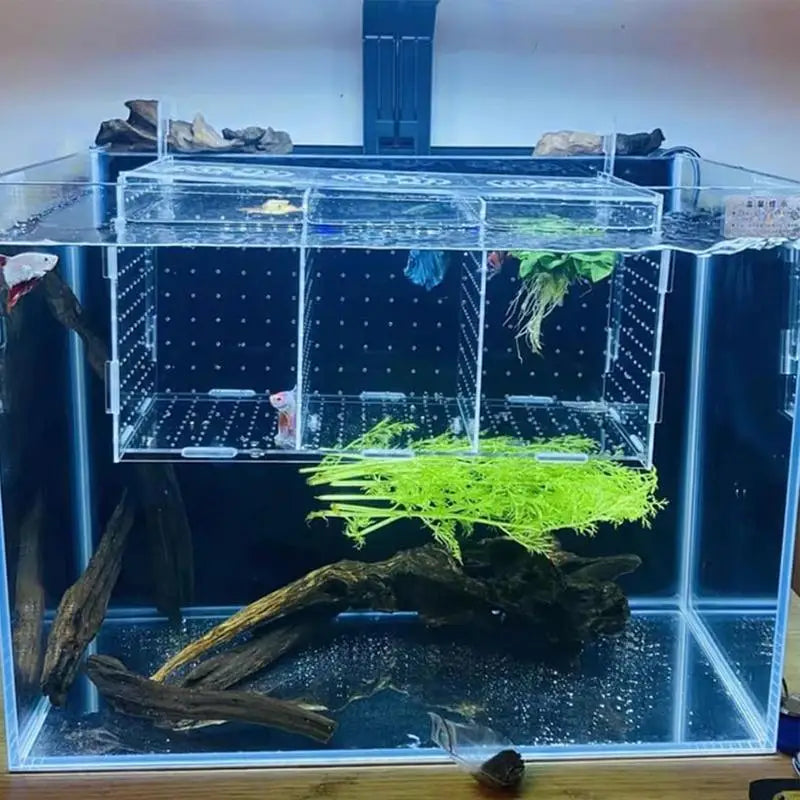 Fish Breeder Box for Aquarium Acrylic Clear Breeder Box with Hook Multifunctional Non Slip Aquarium Incubator with Suction Cup