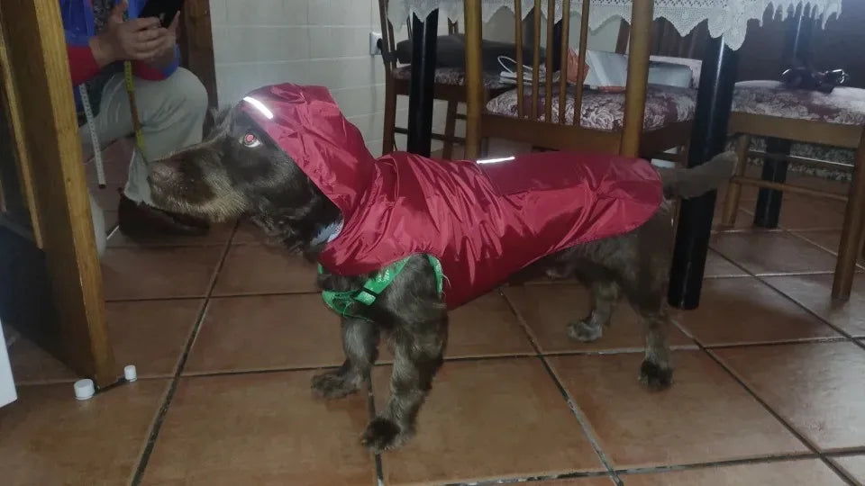 Big dog raincoat reflective waterproof windproof hooded raincoat large dog clothing outdoor raincoat  dog clothing jacket