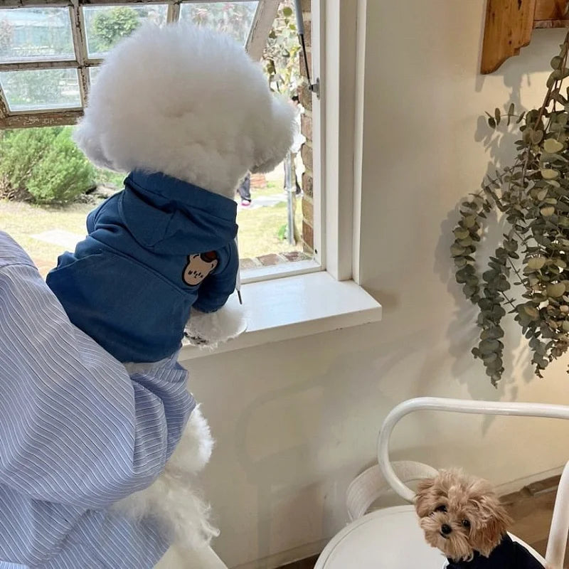 Fashion Dog Cowboy Costume Autumn Winter Dog Denim Jacket Bear Print Cardigan Pet Coat Kitten Puppy Clothing Chihuahua Pullover