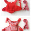 Dog Harness with Backpack andLeashes Set, Luxury Brand Designer Pet Self Carrier Pet  Harness Backpack for Small Medium Dogs