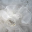 White Dog Wedding Dress Bridal Wedding Costume Puppy Princess Dresses for Small Dogs Luxury Dog Clothes Pomeranian Chihuahua