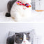 Cute Japanese Print Pet Dog Collars Bunny Ears Shaped Necklace for Cats Spring Decorate Puppy Supplies Neck Wear Cat Accessories