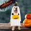Halloween Costume for Dogs Witch Hat Pumpkin White Ghost Costume Fancy Dress for Dogs Cats Pet Outfits for Halloween Cosplay