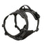 Dog Collars Harness Big Vests Leash Pet Shop Everything for Dogs Leather Puppy Accessories Medium Small Set