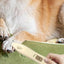 Rechargeable Dog Paw Trimmer Dog Paw Grooming Low Noise Cordless Dog Grooming Kit 2 Speed Pet Hair Shaver For Paws Beauty Tool