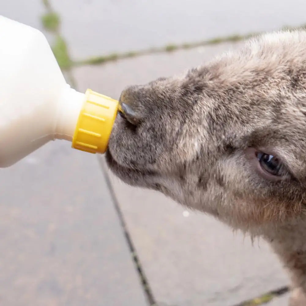 Feeding Milk Drinking Nipple Plastic Connect With Sprite Cokes Bottle Milk Drink Soft Pacifier For Sheep Goat Lamb Dog