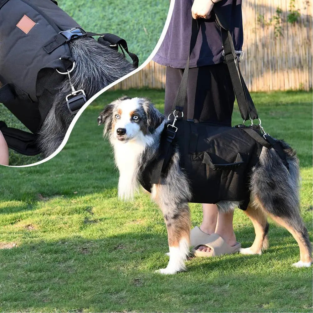 Dog Harness Medium Sized Dog Easy Walking Pull Dog Harness Dog Vest Harness with Control Handle No Choke Pet Neck Harness