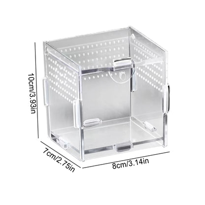 Terrarium For Reptile Snail Arcylic Breeding Box Wolf Spider Jumping Spider Snail Scorpion Durable Invertebrate Breeding Box